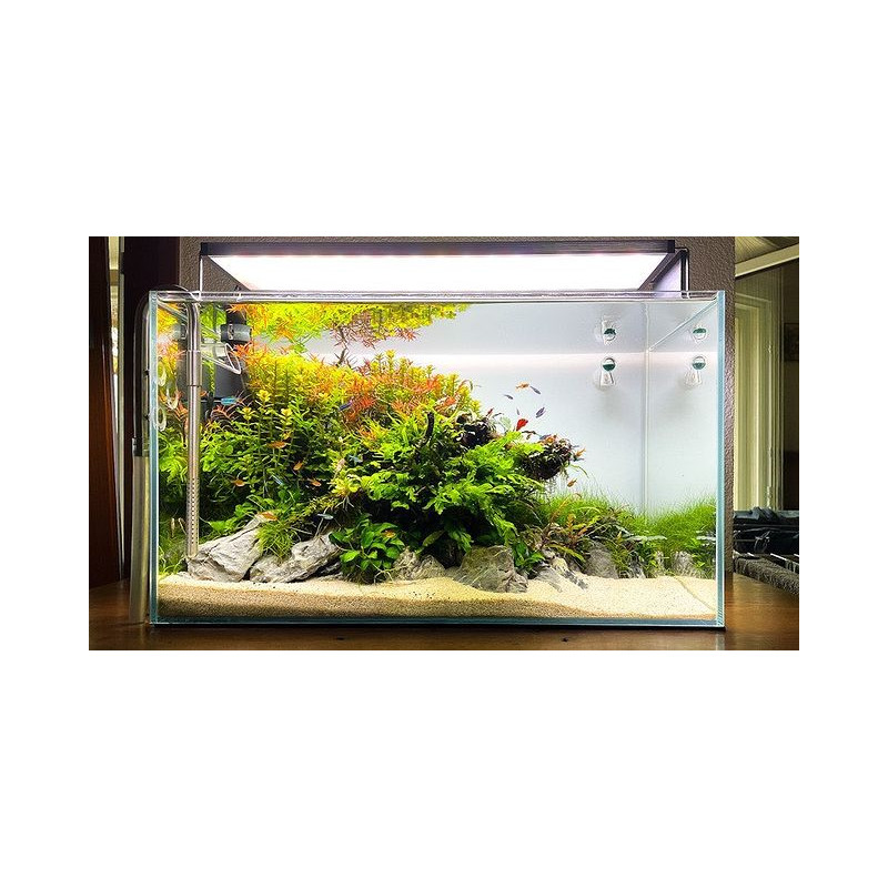 Aquarium 60cm - jbaqua63