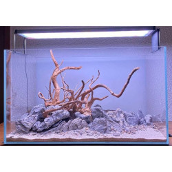 Aquarium 60cm - jbaqua63