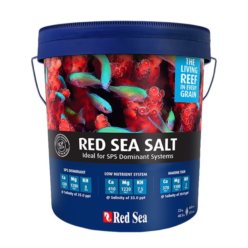 Red Sea Salt