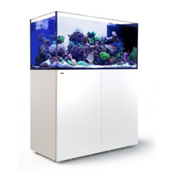 Red Sea Reefer Peninsula P500 Deluxe