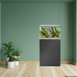 kit aquarium 60 cm gris