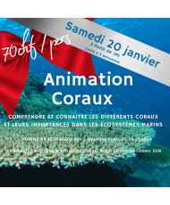 Atelier animation coraux 20 janvier 2023