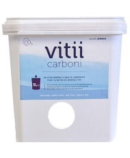 Vitii - Box Plastique Carboni
