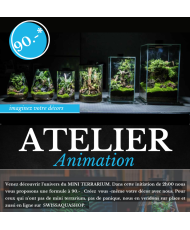 Atelier Mini terrarium...