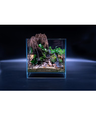 Mini Terrarium Workshop on Friday December 6th, 2024