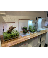 Mini Terrarium Workshop on Friday December 6th, 2024