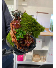 Mini Terrarium Workshop on Friday, January 10th, 2025