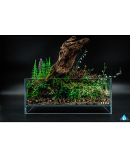 Mini Terrarium Workshop on Friday, January 10th, 2025