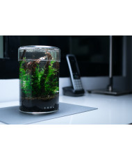 Mini Terrarium Workshop on Friday, January 10th, 2025