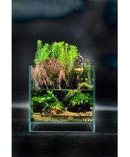 Mini Terrarium Workshop on Friday, January 10th, 2025