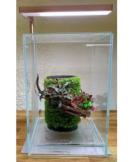 Mini Terrarium Workshop on Friday, January 10th, 2025