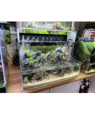 Atelier Mini terrarium Vendredi 10 janvier 2025