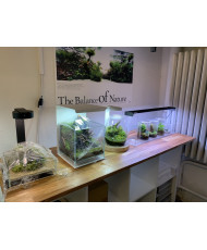 Mini Terrarium Workshop on Friday, January 10th, 2025