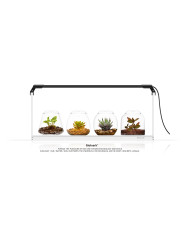 Bioloark SET Display Stand...