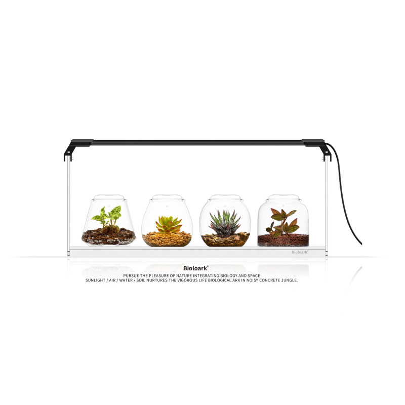 Bioloark SET Display Stand LH-02 ( 4* Bubble Cup + Acryl Stand + LED )