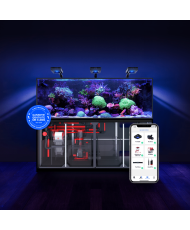 Red Sea Reefer Max S-700 G2+