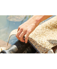 Oase Sand gravel Pond liner 0.6 x 20 m