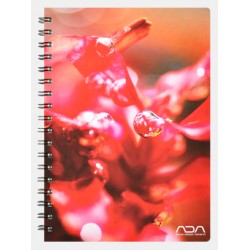 ADA Ring Notebook Rotala...
