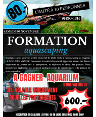 Formation Aquascaping...