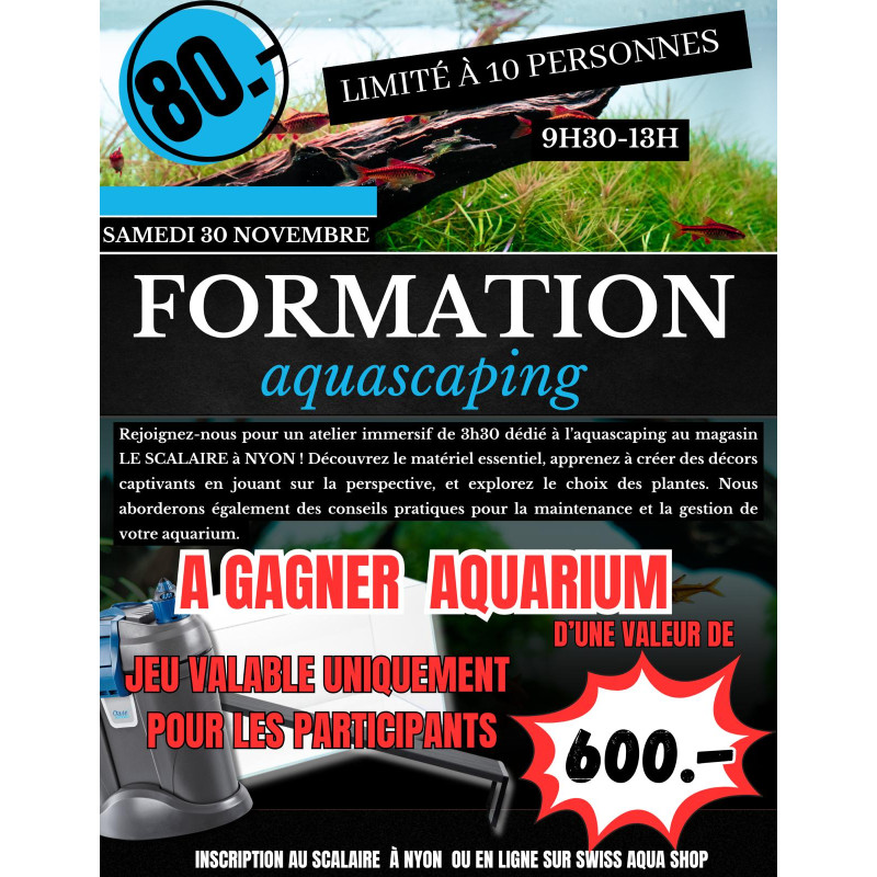 Formation Aquascaping samedi 30 novembre 2024