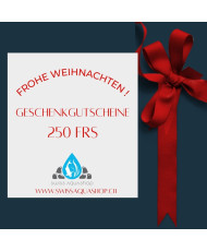 Gift voucher 250 CHF