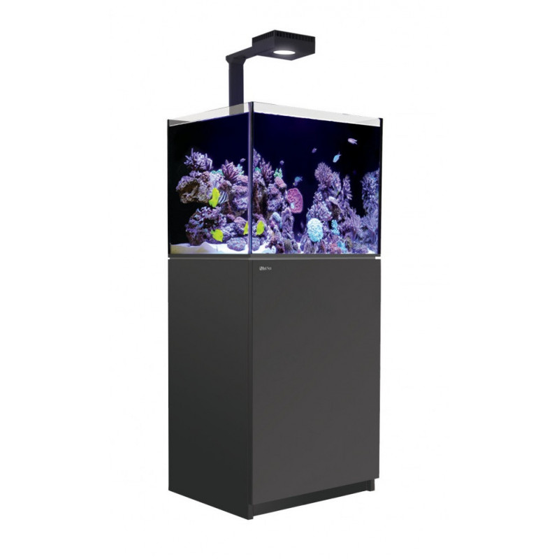 Red Sea Reefer 170 DELUXE G2 +