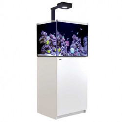 Red Sea Reefer 170 DELUXE G2