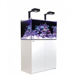 Red Sea Reefer 250 DELUXE G2+