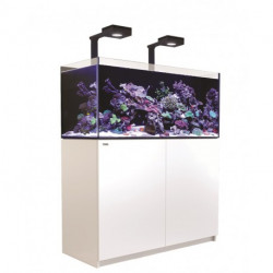 Red Sea Reefer 350 DELUXE G2+