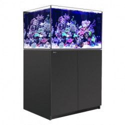 Red Sea Reefer XL 300 G2+