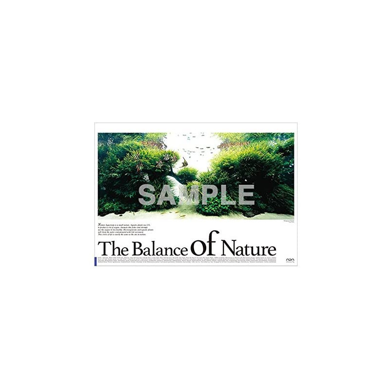 ADA Balance Of Nature Art Poster (Pterophyllum altum)