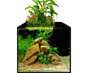 Aquarium mit integrierter Filterung