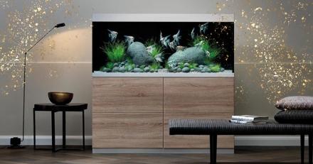 cms-Oase_aquariums.jpg