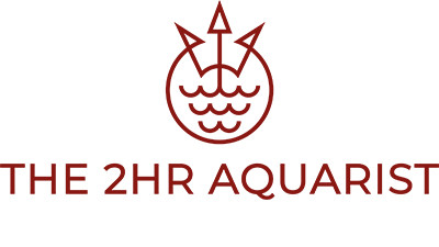 2HR Aquarist